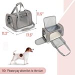 Mr. Pen- Pet Carrier, Cat Carrier, Dog Carrier, Cat Bag Carrier, Cat Travel Carrier, Soft Cat Carrier, Dog Travel Carrier, Pet Travel Carrier, Dog Soft-Sided Carriers